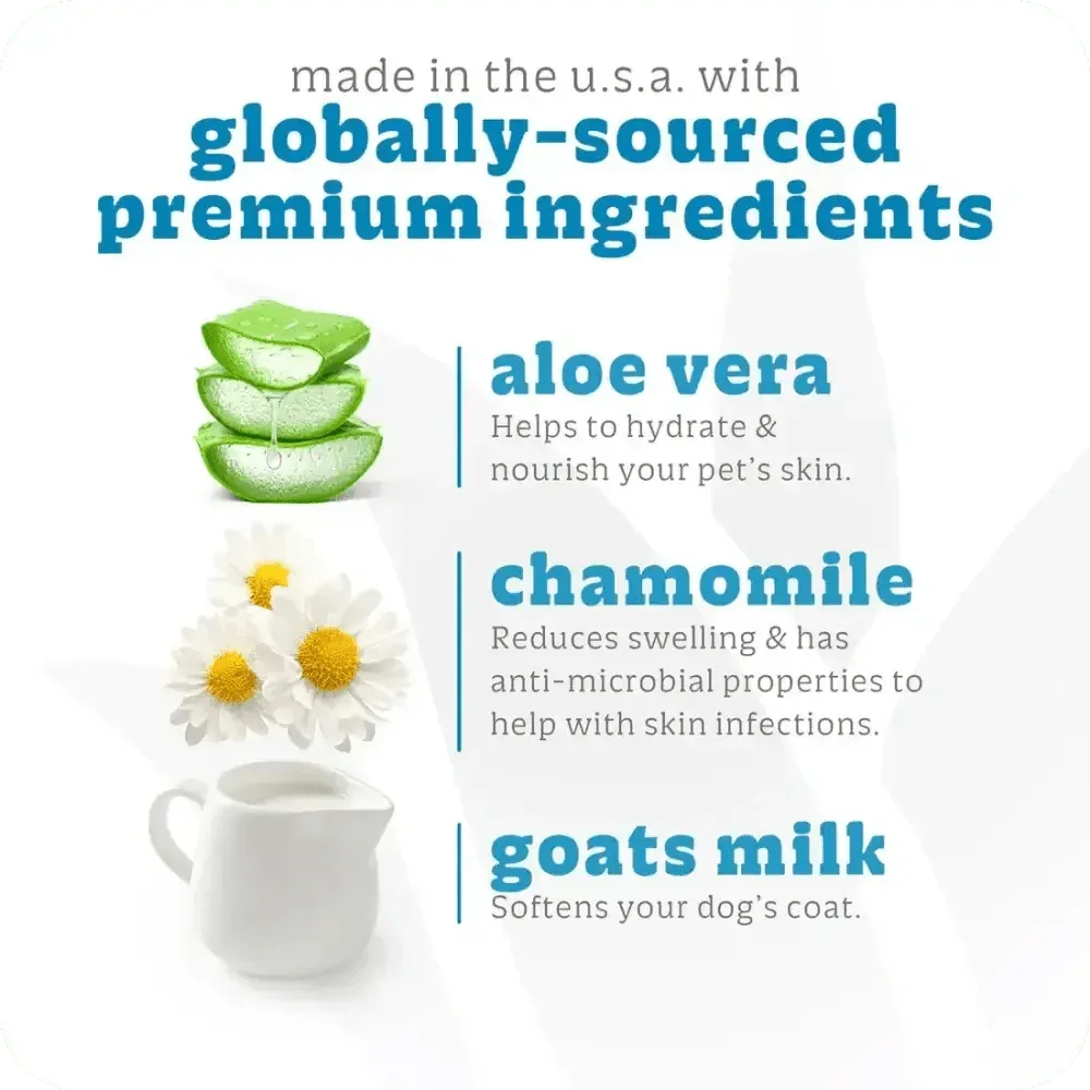 Espree 2in1 Simple Shed Dog Shampoo 20 oz - Talis Us