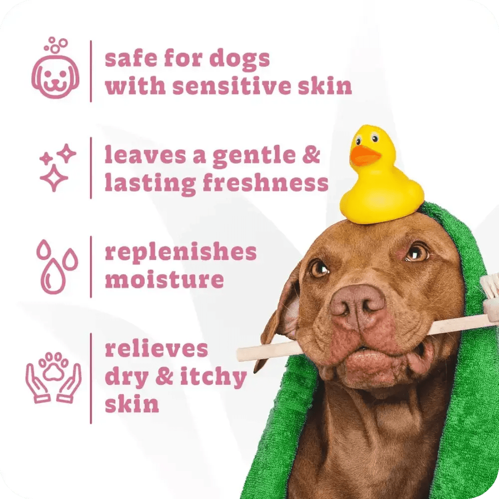 Espree 2in1 Simple Sooth Dog Shampoo - Talis Us