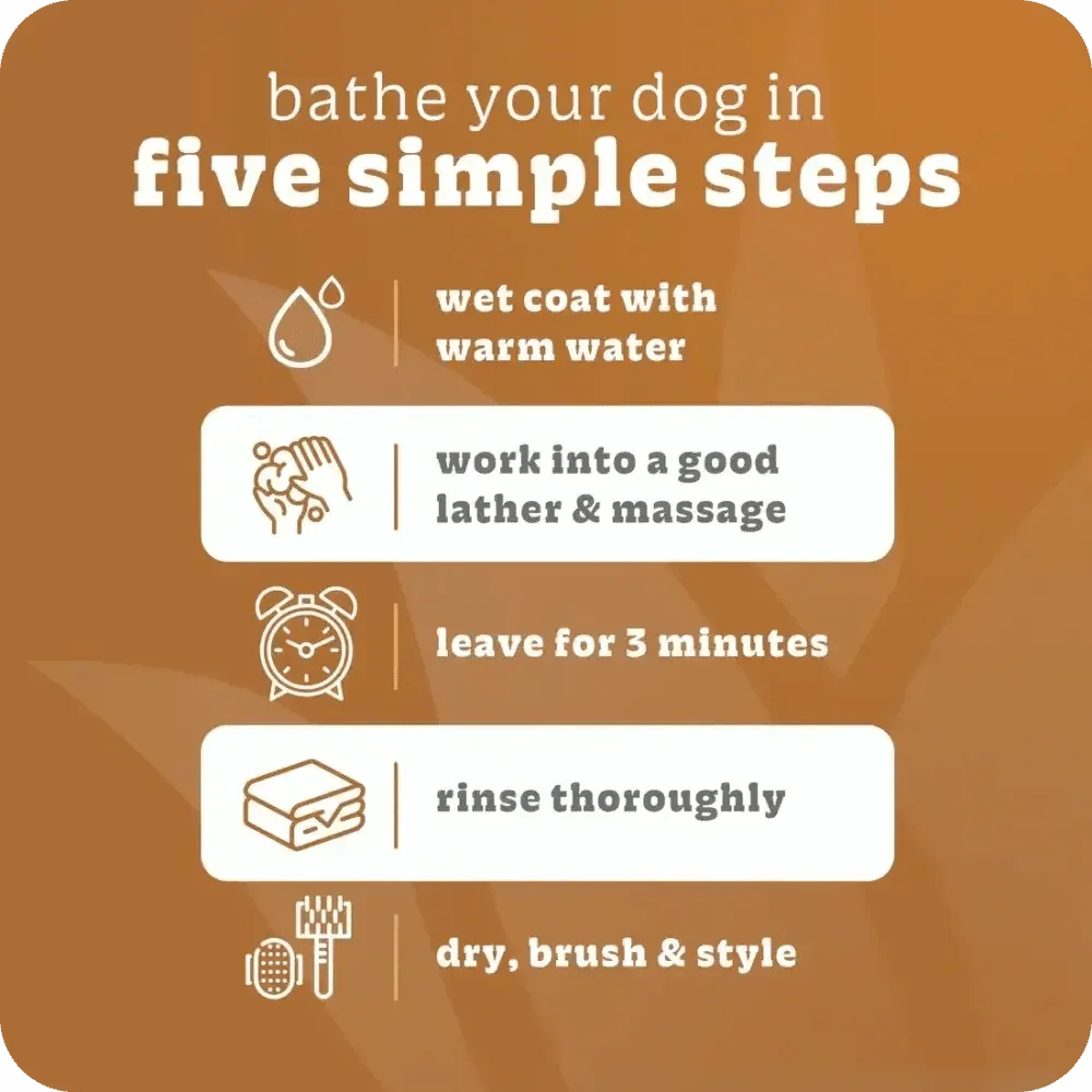 Espree 2in1 Wavy Curly Coat Dog Shampoo 20 oz - Talis Us