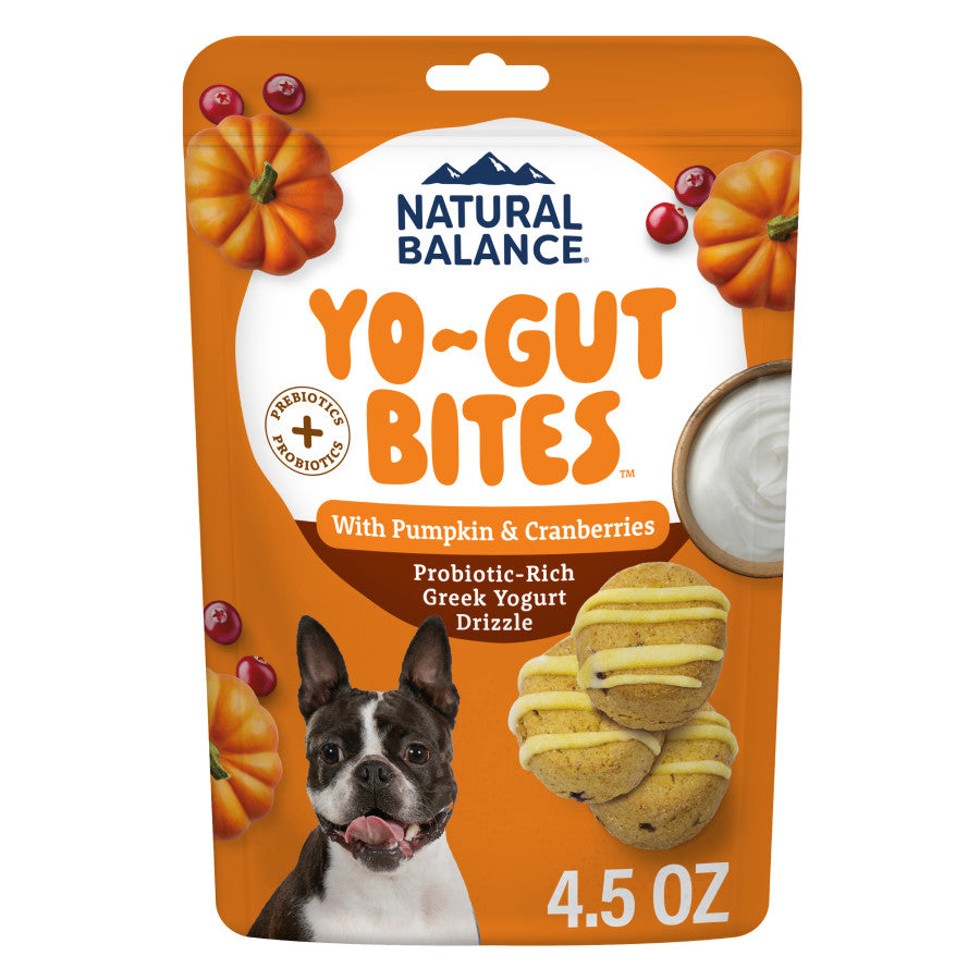 Natural Balance Yo-Gut Bites dog treats with pumpkin and cranberries in a 4.5-ounce orange pouch.