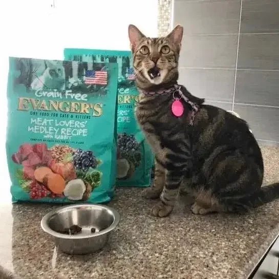 Evanger's Grain Free Meat Lover’s Medley Recipe With Rabbit For Cats 4.4 lb - Talis Us