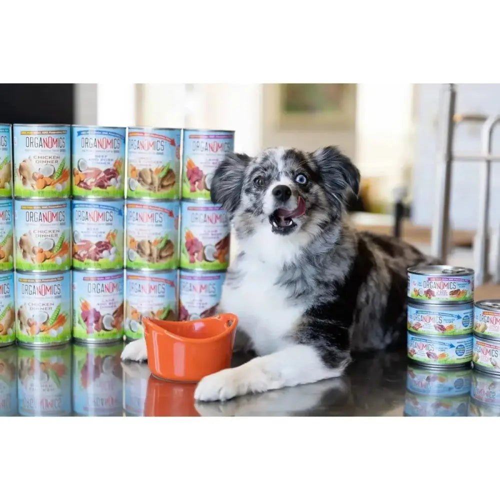 Evanger's OrgaNOMics Salmon & Duck Dinner Grain - Free Pate Wet Cat Food 24/5.5oz - Talis Us