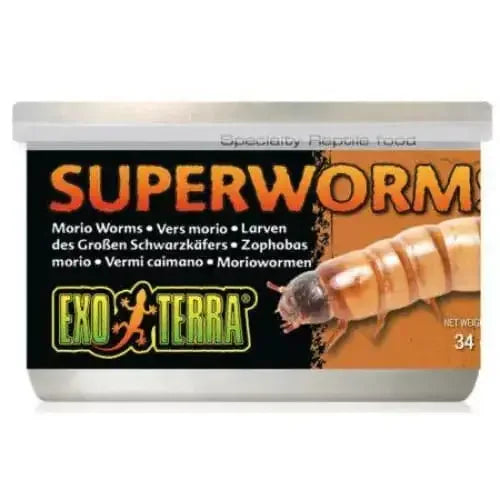 Exo Terra Canned Superworms Specialty Reptile Food Exo-Terra