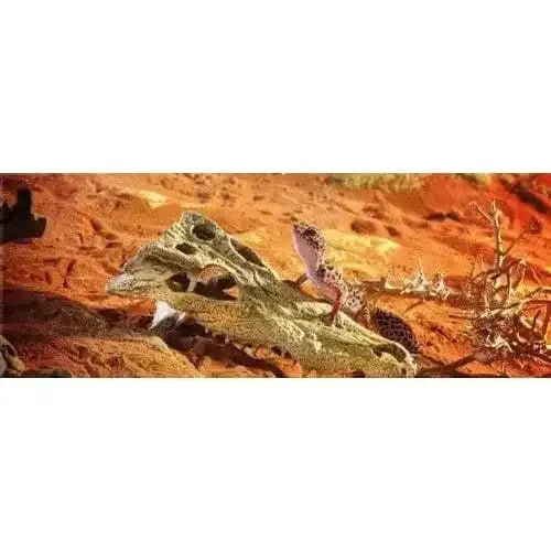 Exo Terra Terrarium Crocodile Skull Decoration - Talis Us