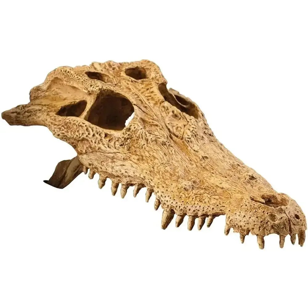 Exo Terra Terrarium Crocodile Skull Decoration - Talis Us