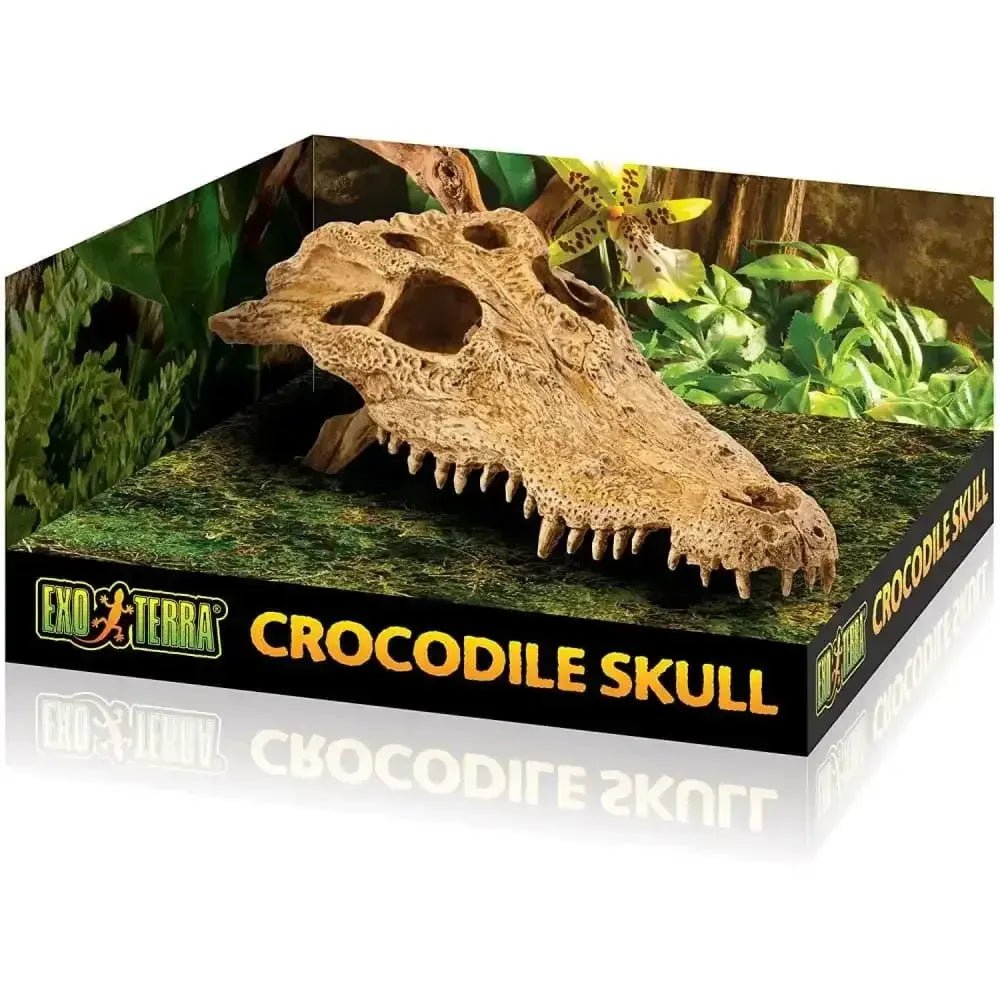 Exo Terra Terrarium Crocodile Skull Decoration - Talis Us