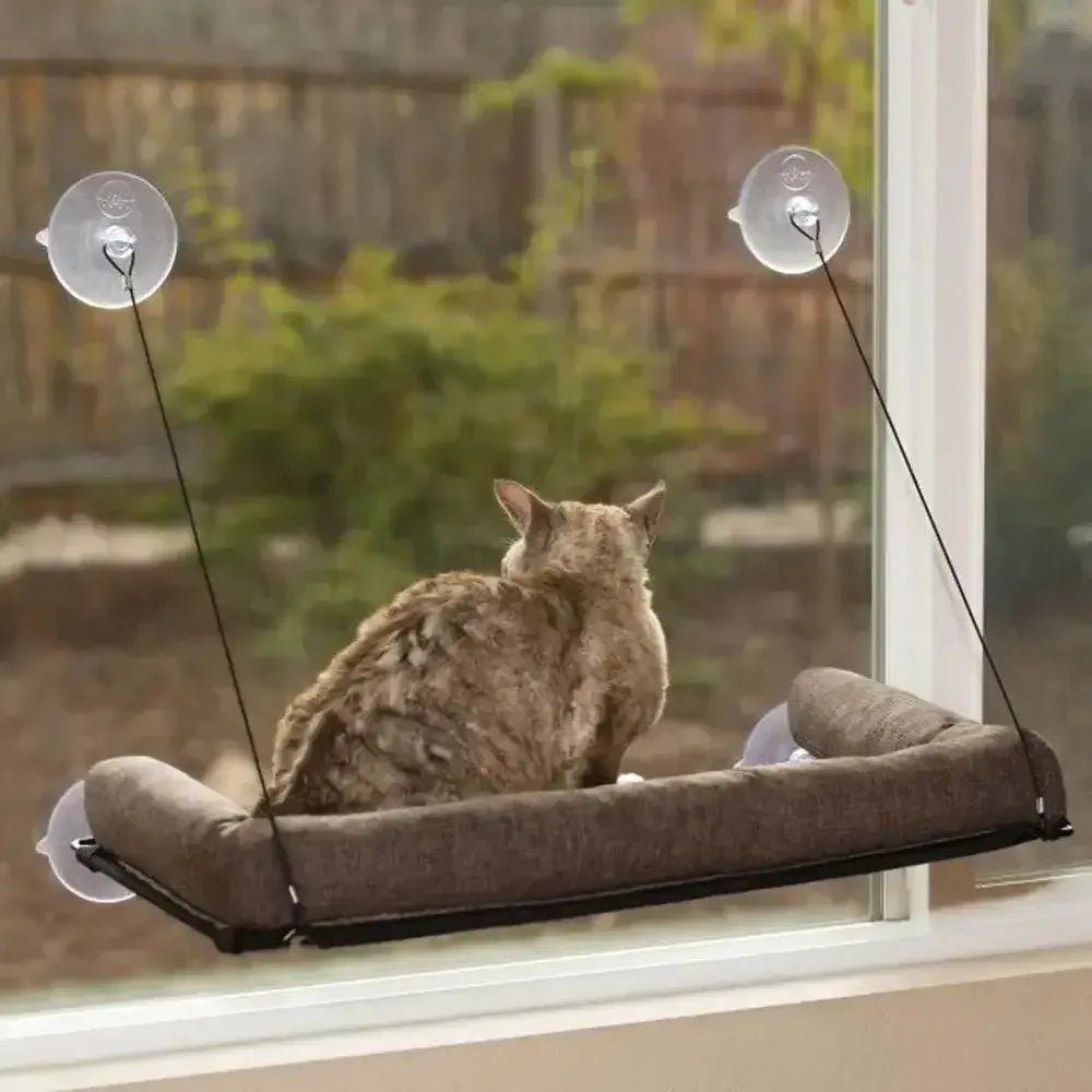 EZ Mount Kitty Sill Deluxe with Bolster - Talis Us