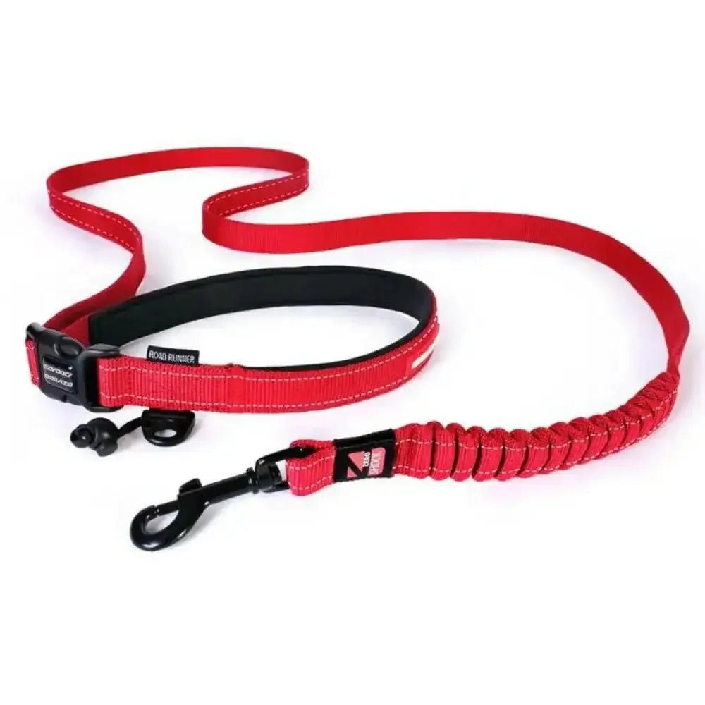 EZY Dog - Road Runner Leash - Talis Us
