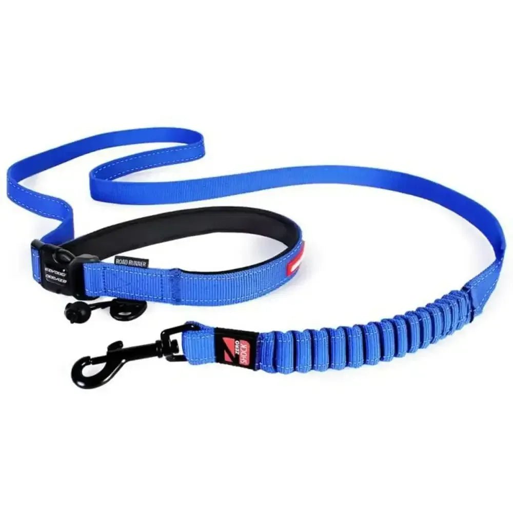 EZY Dog - Road Runner Leash - Talis Us