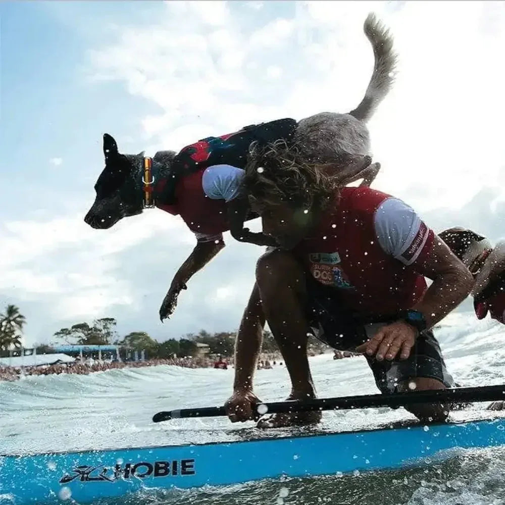 EzyDog Doggy Floatation Device Adjustable Dog Life Jacket - Talis Us