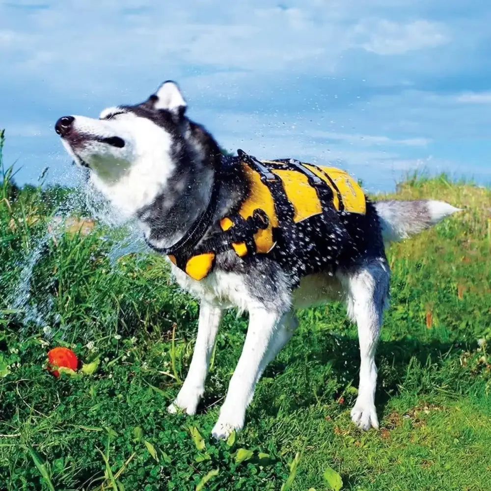 EzyDog Doggy Floatation Device Adjustable Dog Life Jacket - Talis Us