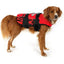 EzyDog Doggy Floatation Device Adjustable Dog Life Jacket - Talis Us
