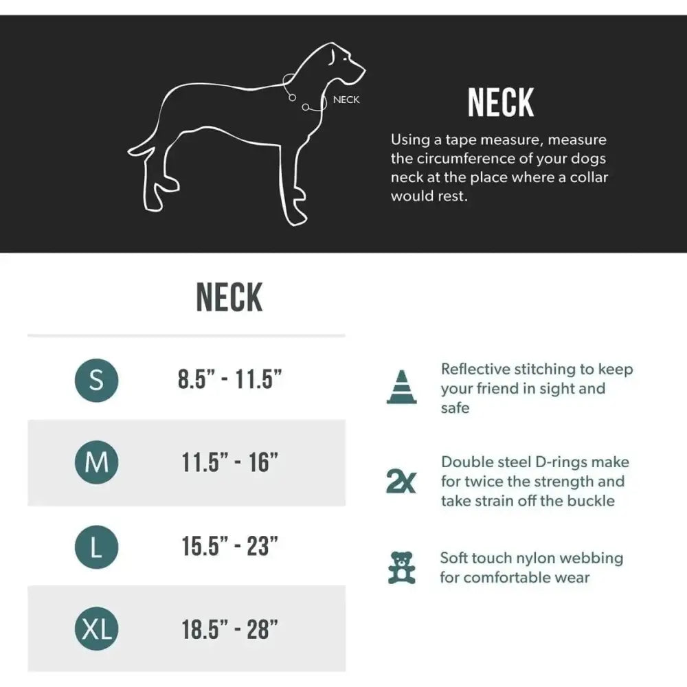 EzyDog Double Up Premium Nylon Dog Collar with Reflective Stitching - Talis Us