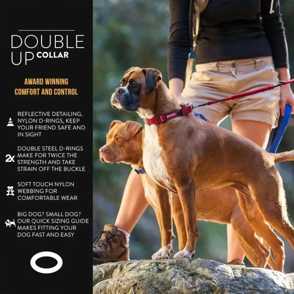 EzyDog Double Up Premium Nylon Dog Collar with Reflective Stitching - Talis Us