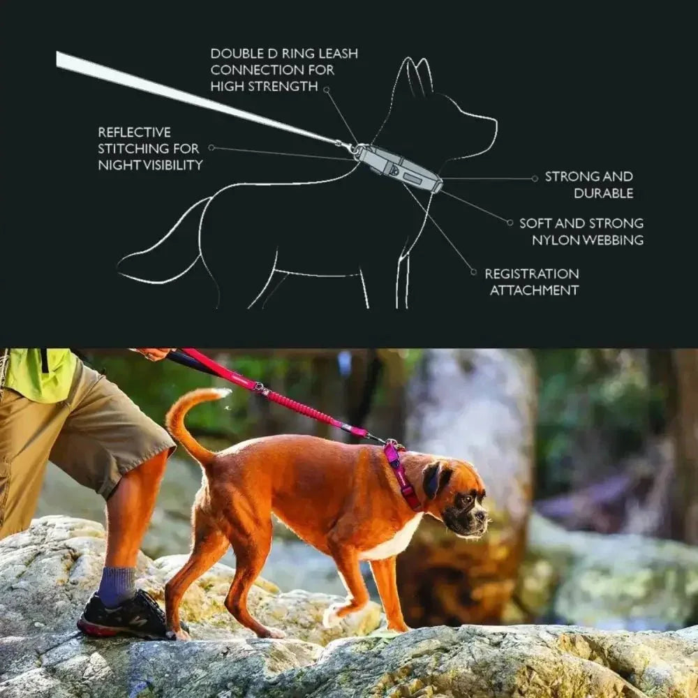 EzyDog Double Up Premium Nylon Dog Collar with Reflective Stitching - Talis Us