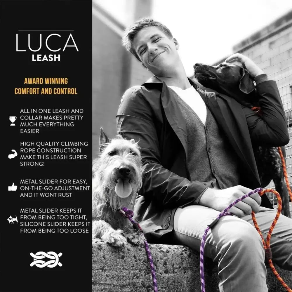 EzyDog Luca All - in - One Slip Collar Climbing Rope Dog Leash Combo - Talis Us