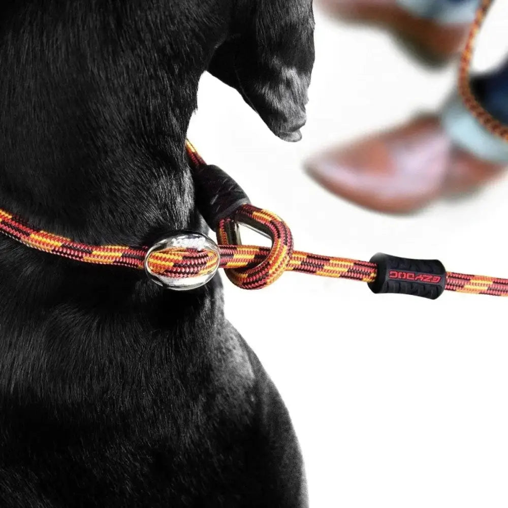 EzyDog Luca All - in - One Slip Collar Climbing Rope Dog Leash Combo - Talis Us