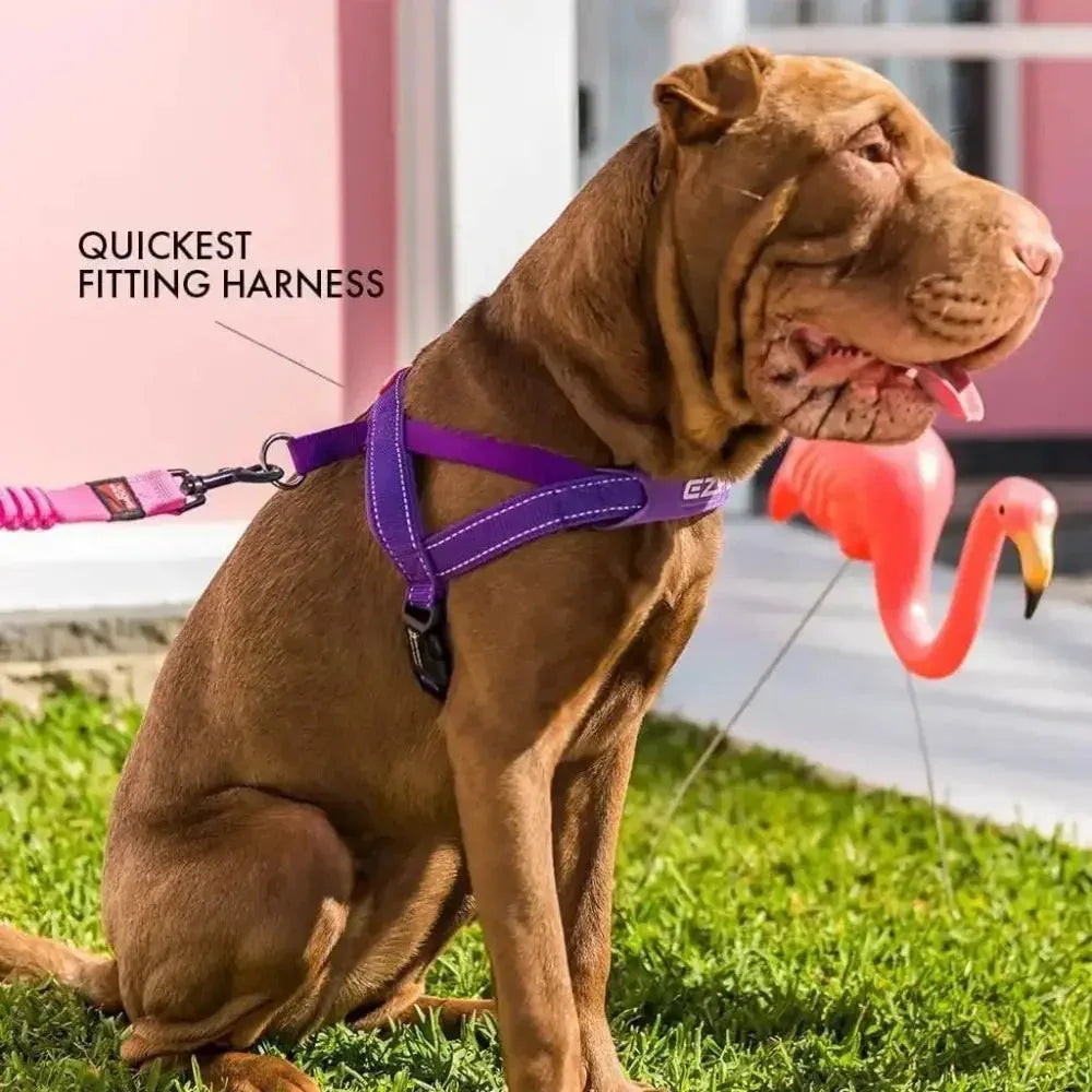 EzyDog Premium Quick Fit Adjustable No - Pull Dog Harness - Talis Us