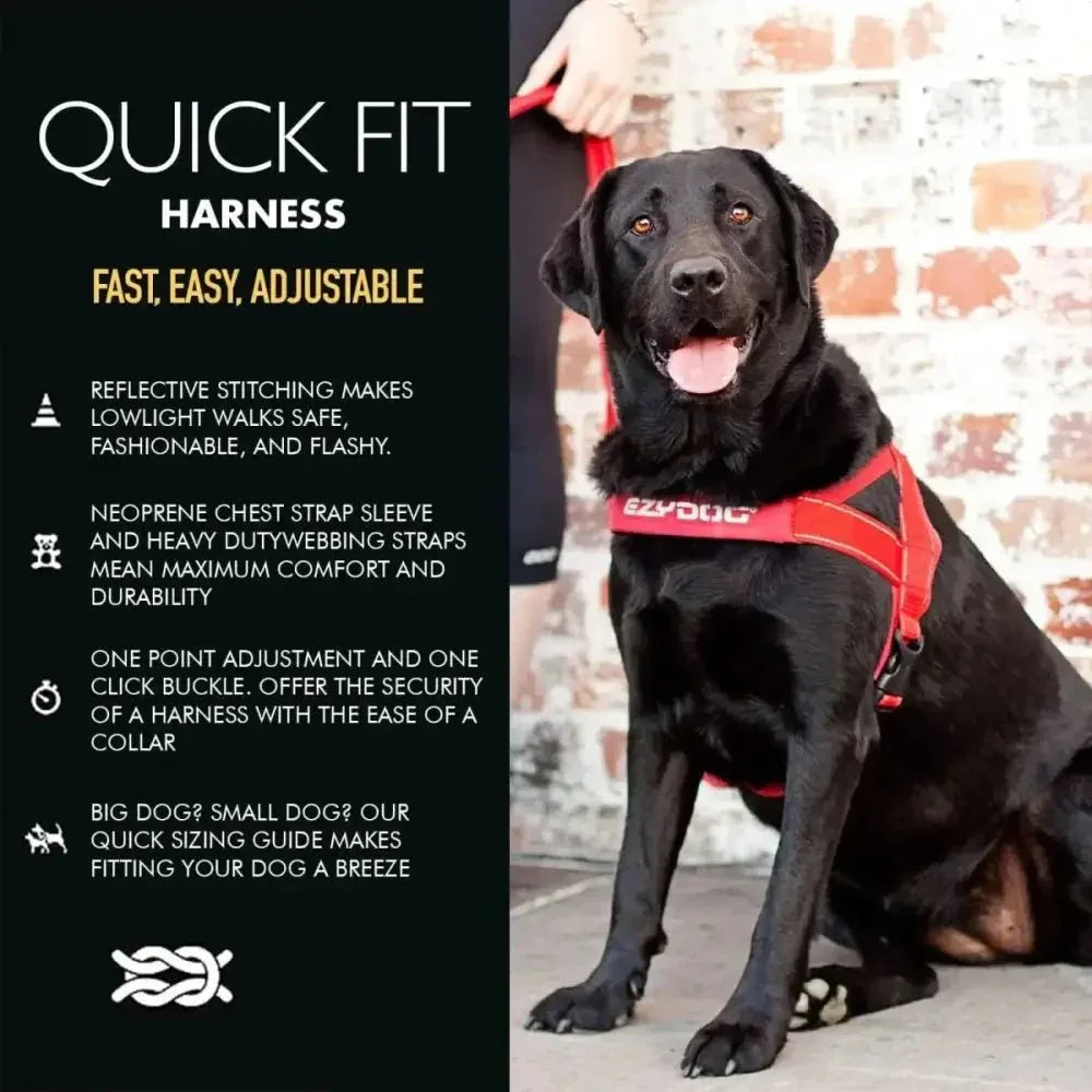 EzyDog Premium Quick Fit Adjustable No - Pull Dog Harness - Talis Us