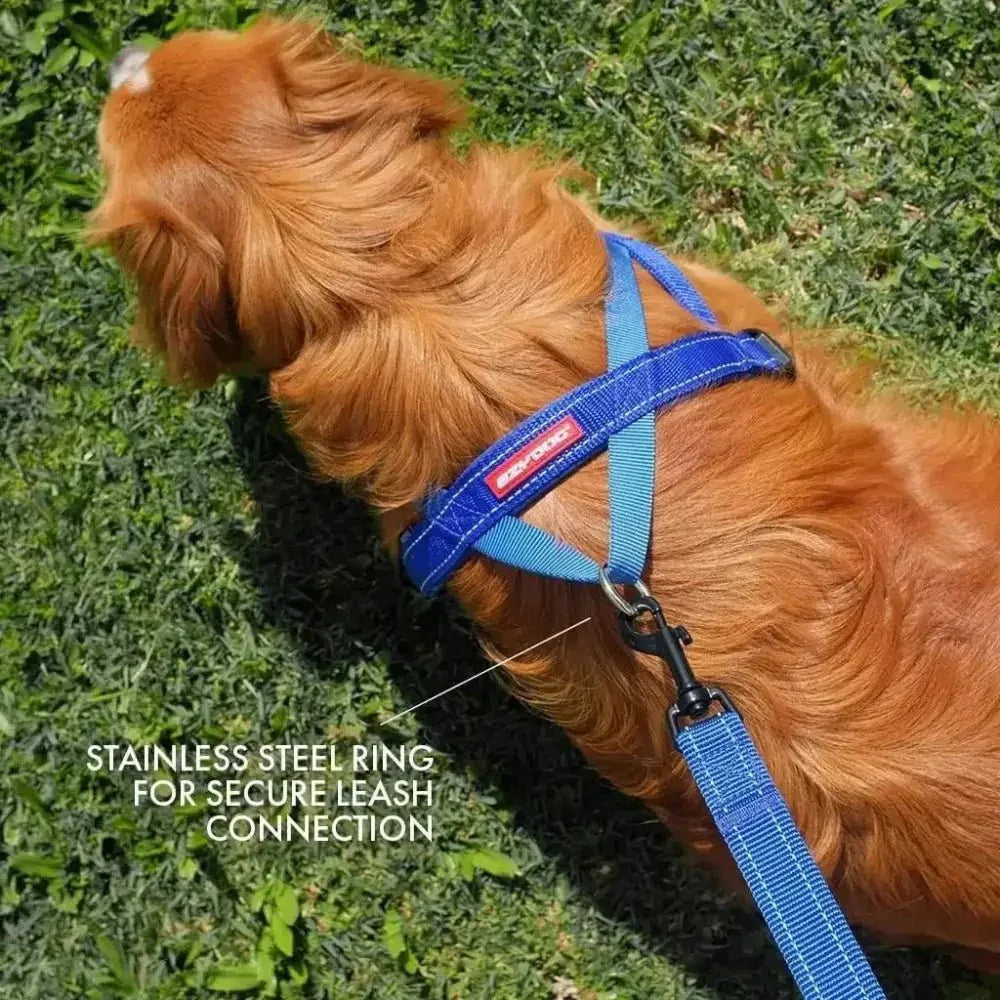 EzyDog Premium Quick Fit Adjustable No - Pull Dog Harness - Talis Us