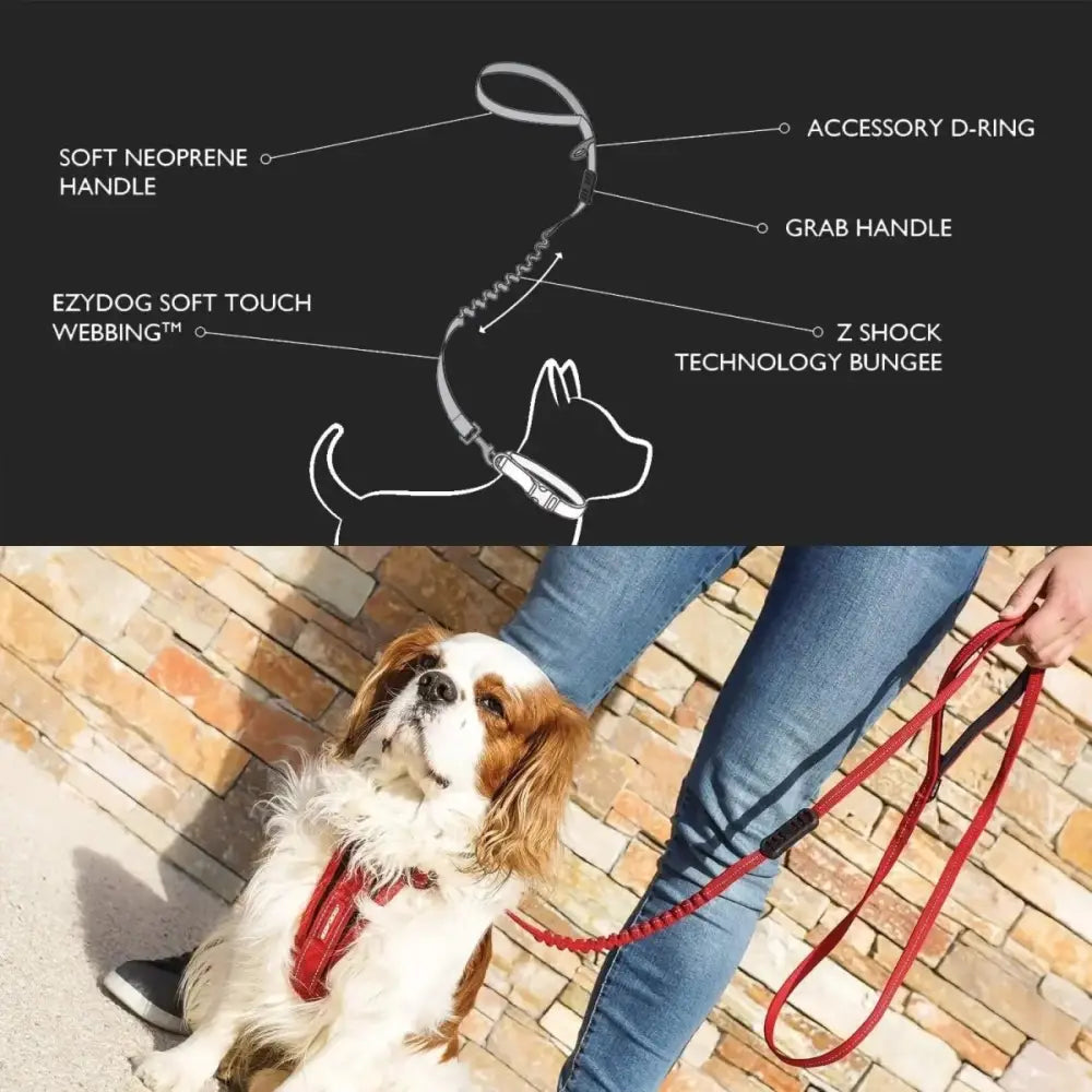 EzyDog Zero Shock Lite Bungee Dog Leash 72 in - Talis Us