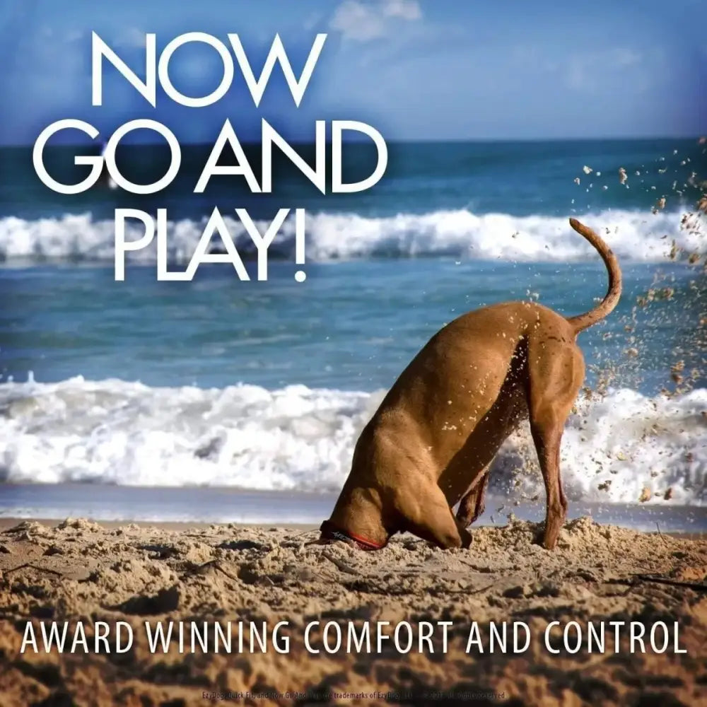 EzyDog Zero Shock Lite Bungee Dog Leash 72 in - Talis Us