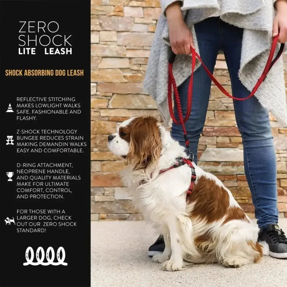 EzyDog Zero Shock Lite Bungee Dog Leash 72 in - Talis Us