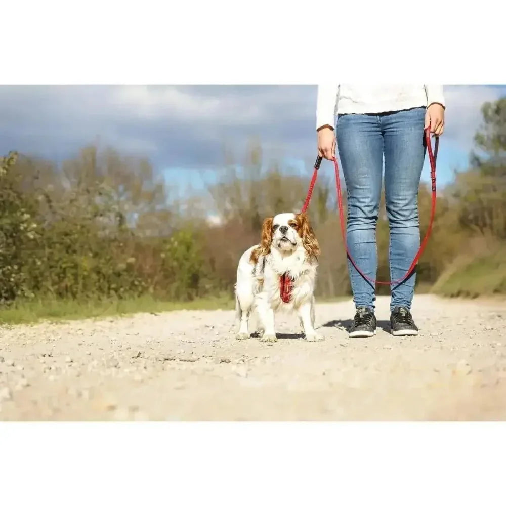 EzyDog Zero Shock Lite Bungee Dog Leash 72 in - Talis Us