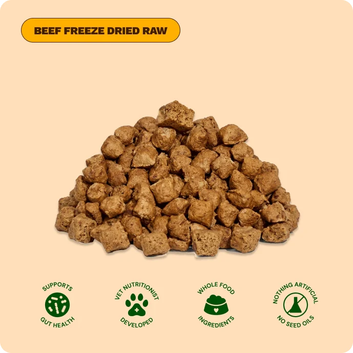 A pile of beef freeze dried raw puppy food nuggets with four nutritional benefit icons below.