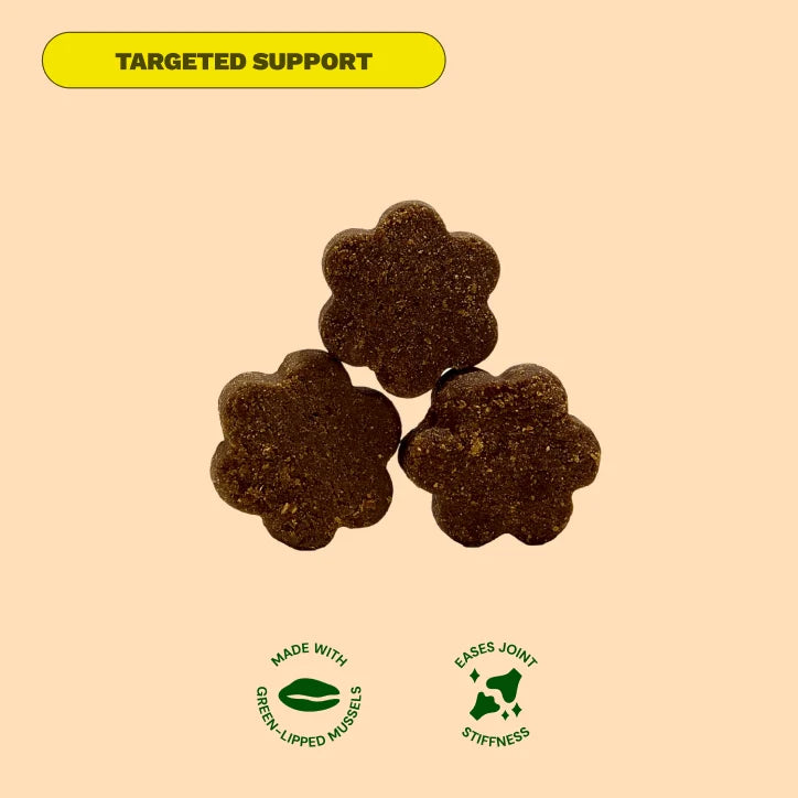 Three flower-shaped brown dog treats with icons for green-lipped mussels and joint support.