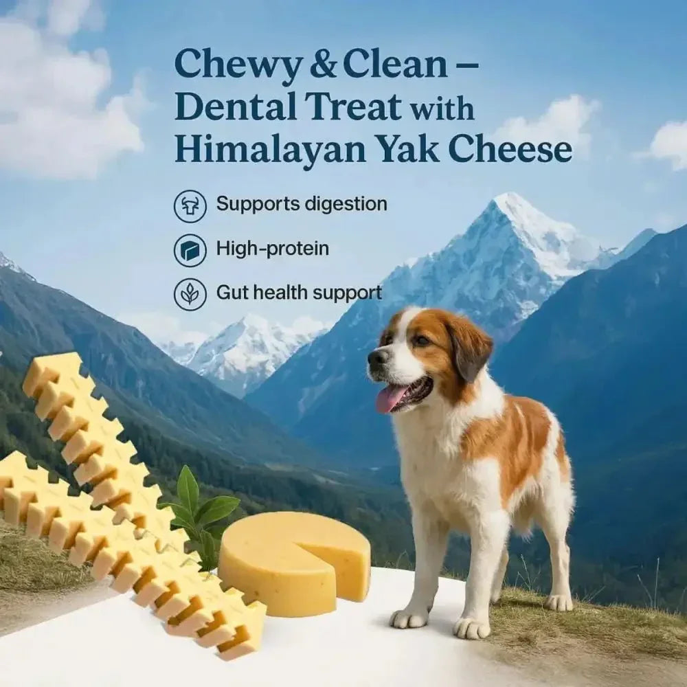 Fabrechew Himalayan Yak Cheese Chew Dental Treats for Dogs 10 Sticks - Talis Us