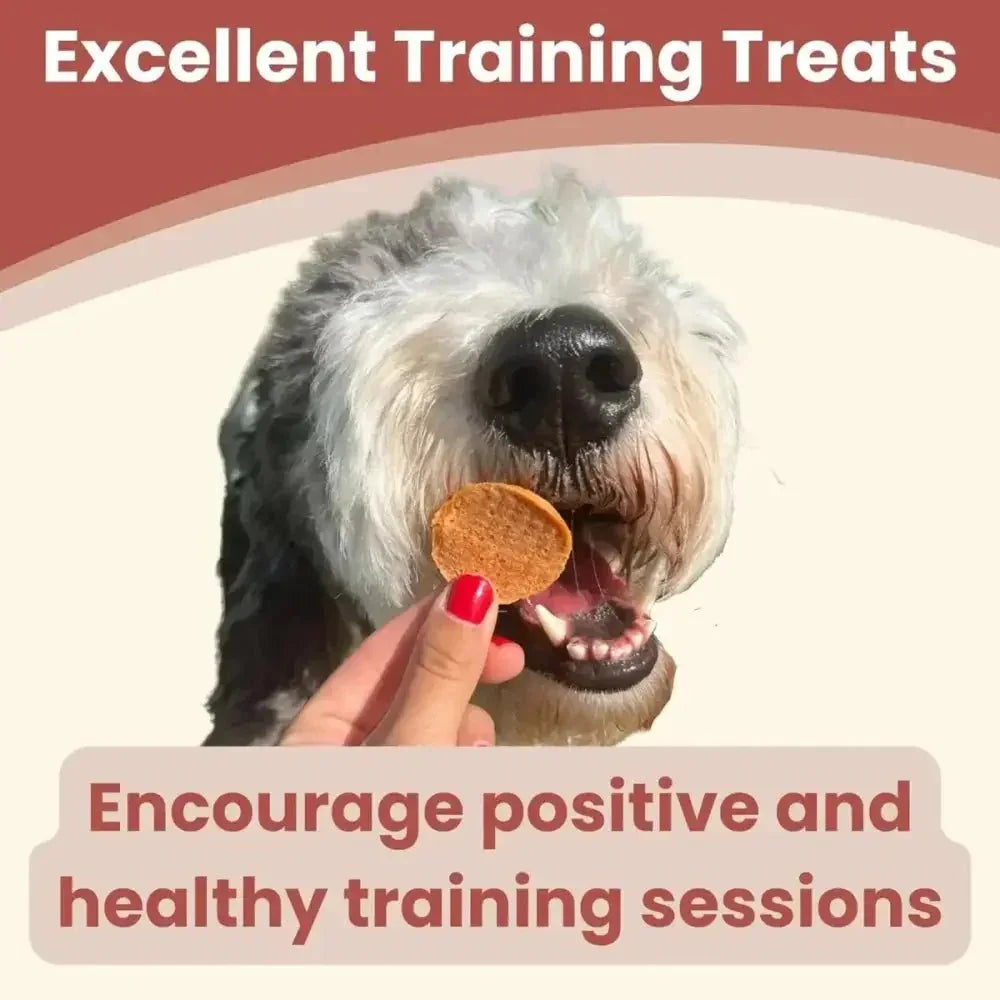 Farm To Pet Chicken Chips Single Ingredient Healthy Dog Treats - Talis Us