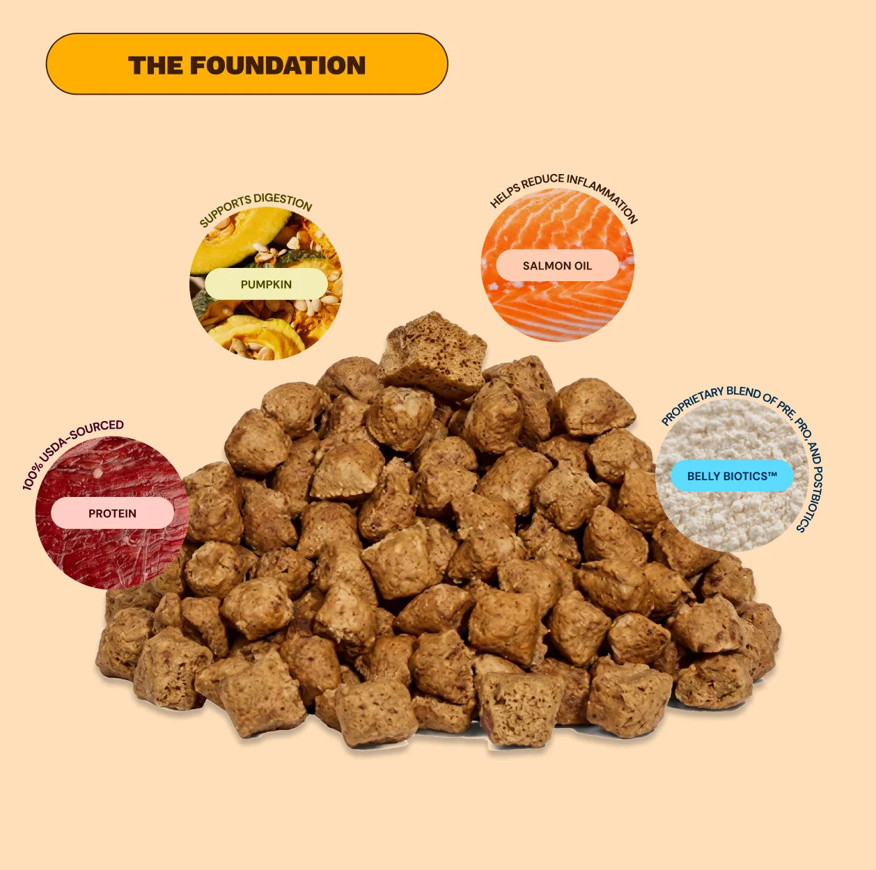 Get Joy Gut Support dog food pieces with pumpkin, salmon oil, protein, and belly biotics.