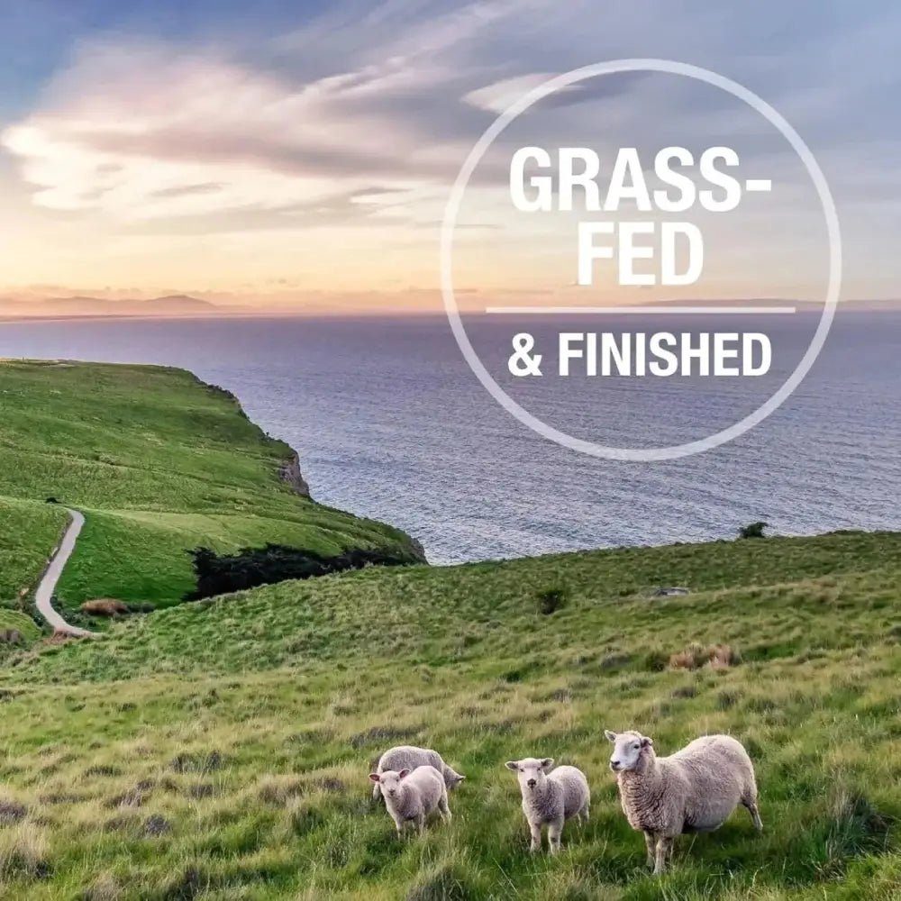 Feline Natural Beef Grain - Free Freeze - Dried Cat Food 11oz - Talis Us