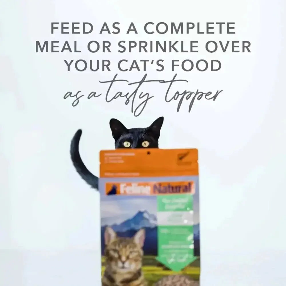 Feline Natural Beef Grain - Free Freeze - Dried Cat Food 11oz - Talis Us