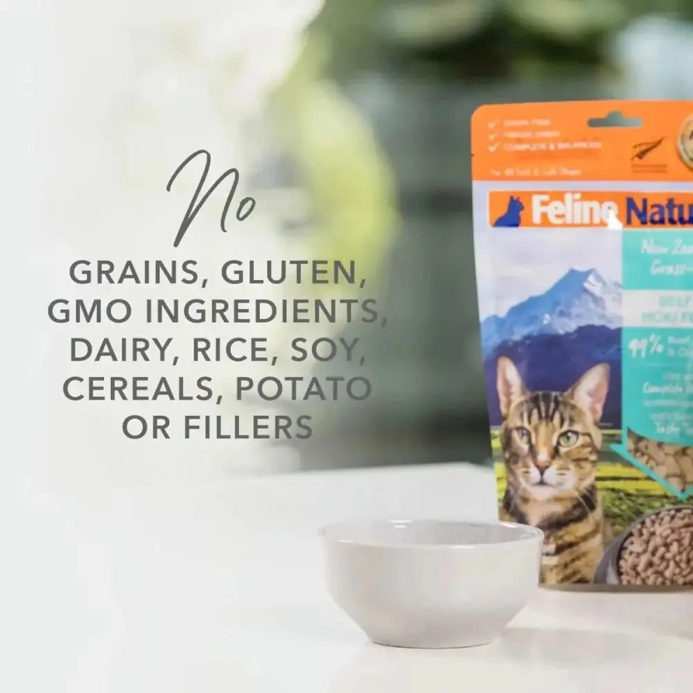 Feline Natural Beef Grain - Free Freeze - Dried Cat Food 11oz - Talis Us