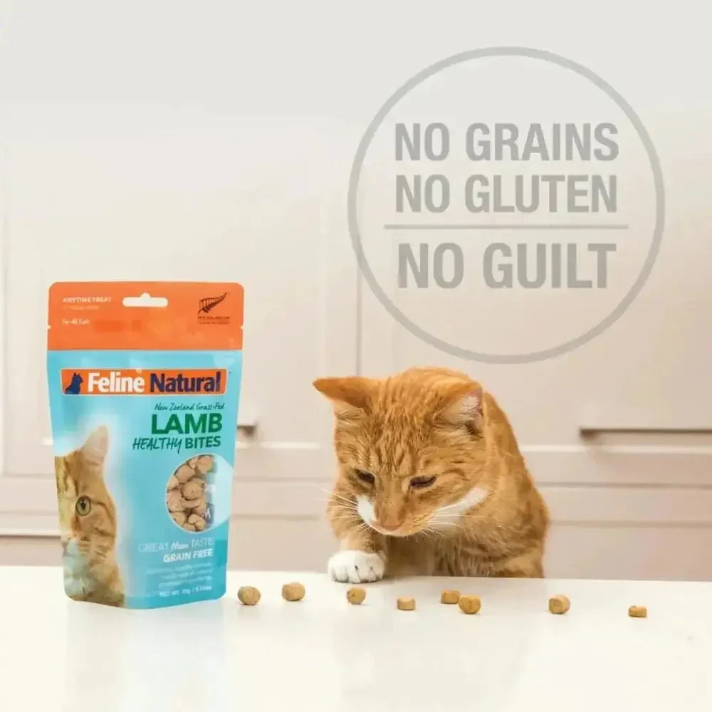 Feline Natural Beef Healthy Bites Grain - Free Freeze - Dried Cat Treats 1.76oz - Talis Us