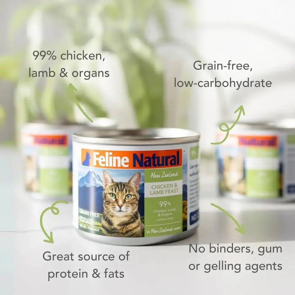 Feline Natural Chicken & Lamb Feast Grain - Free Canned Cat Food - Talis Us