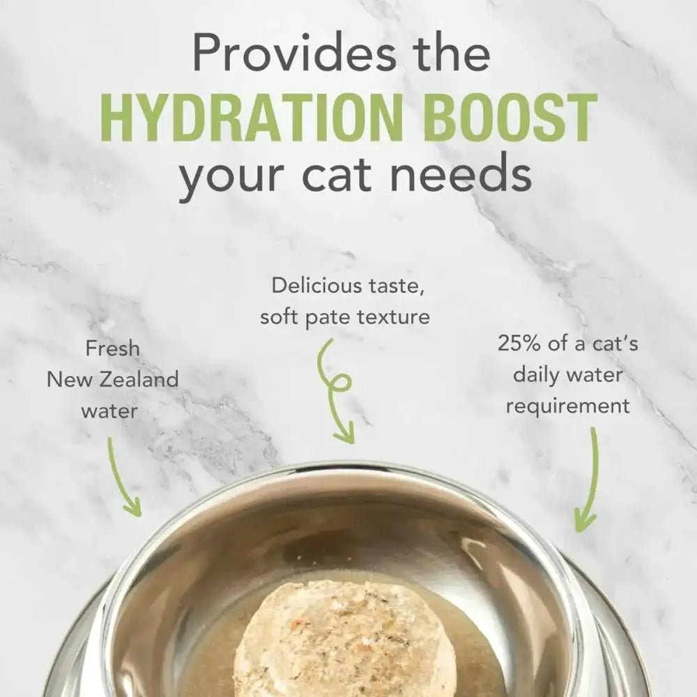 Feline Natural Chicken & Lamb Feast Grain - Free Canned Cat Food - Talis Us