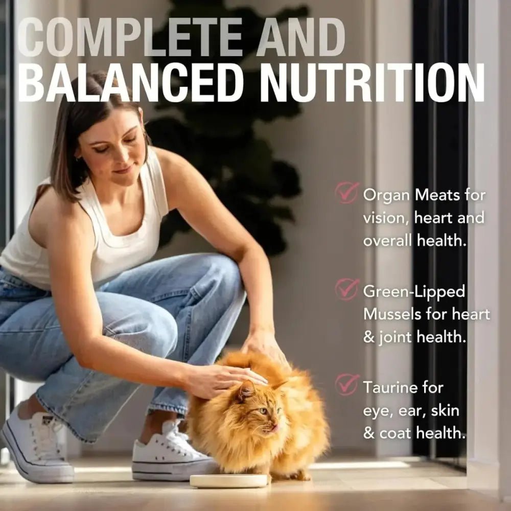 Feline Natural Chicken & Venison Feast Grain - Free Canned Cat Food 12/6oz - Talis Us