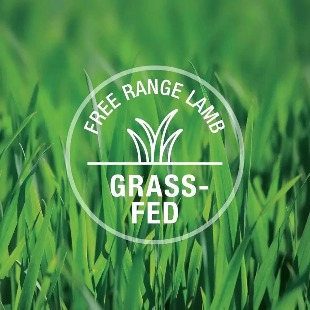 Feline Natural Lamb Feast Grain - Free Canned Cat Food - Talis Us