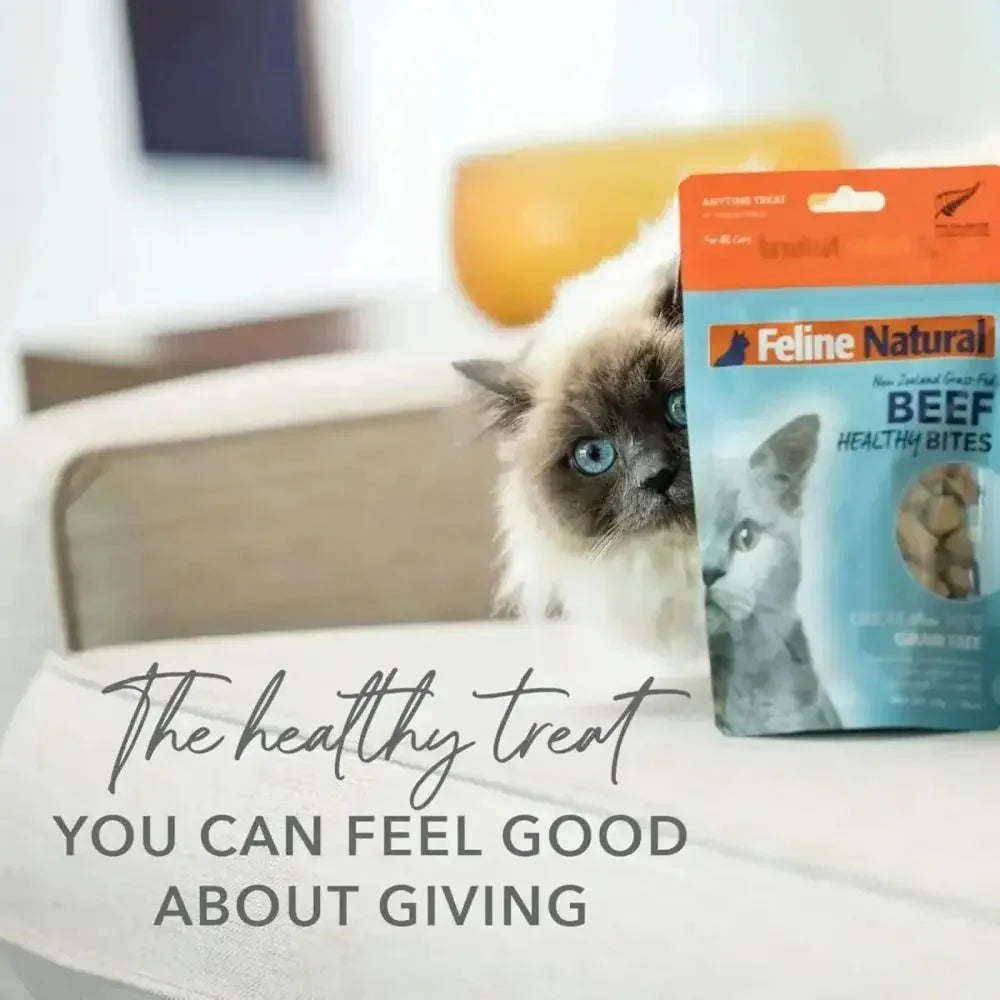 Feline Natural Lamb Healthy Bites Grain - Free Freeze - Dried Cat Treats 1.76oz - Talis Us