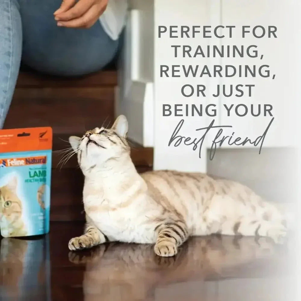 Feline Natural Lamb Healthy Bites Grain - Free Freeze - Dried Cat Treats 1.76oz - Talis Us