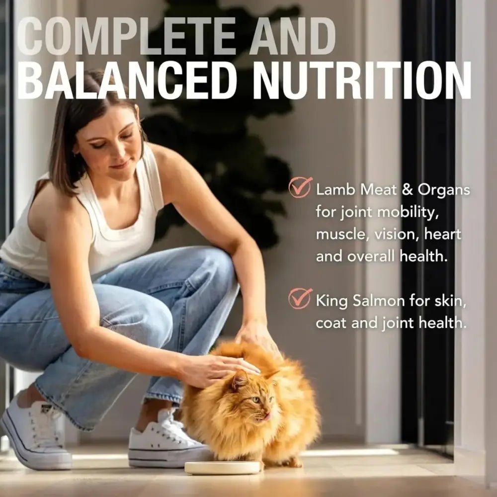 Feline Natural Lamb & King Salmon Feast Grain - Free Canned Cat Food - Talis Us