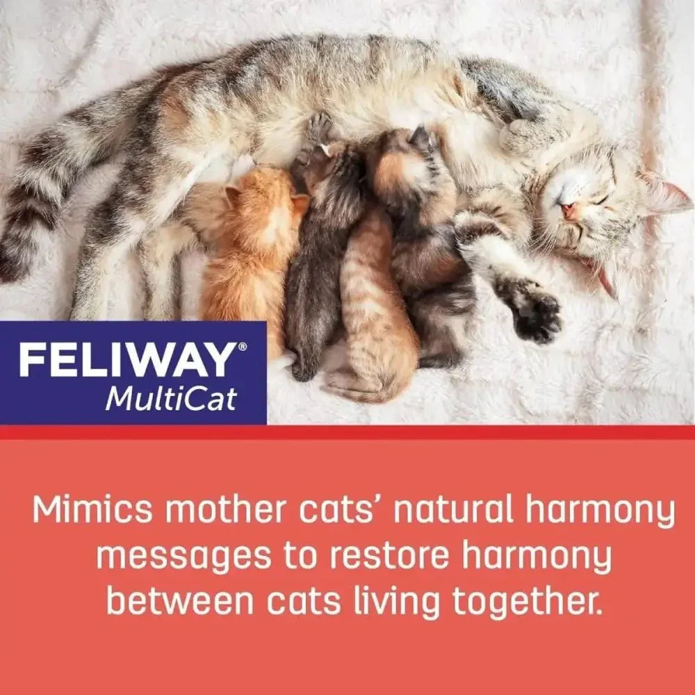 Feliway MultiCat Calming Pheromone Diffuser 30 Day Starter Kit 48 mL - Talis Us