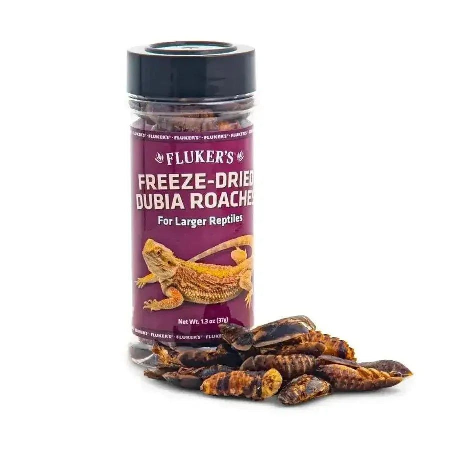 Fluker's Freeze - Dried Dubia Roaches Reptile Treats 1.3 oz - Talis Us