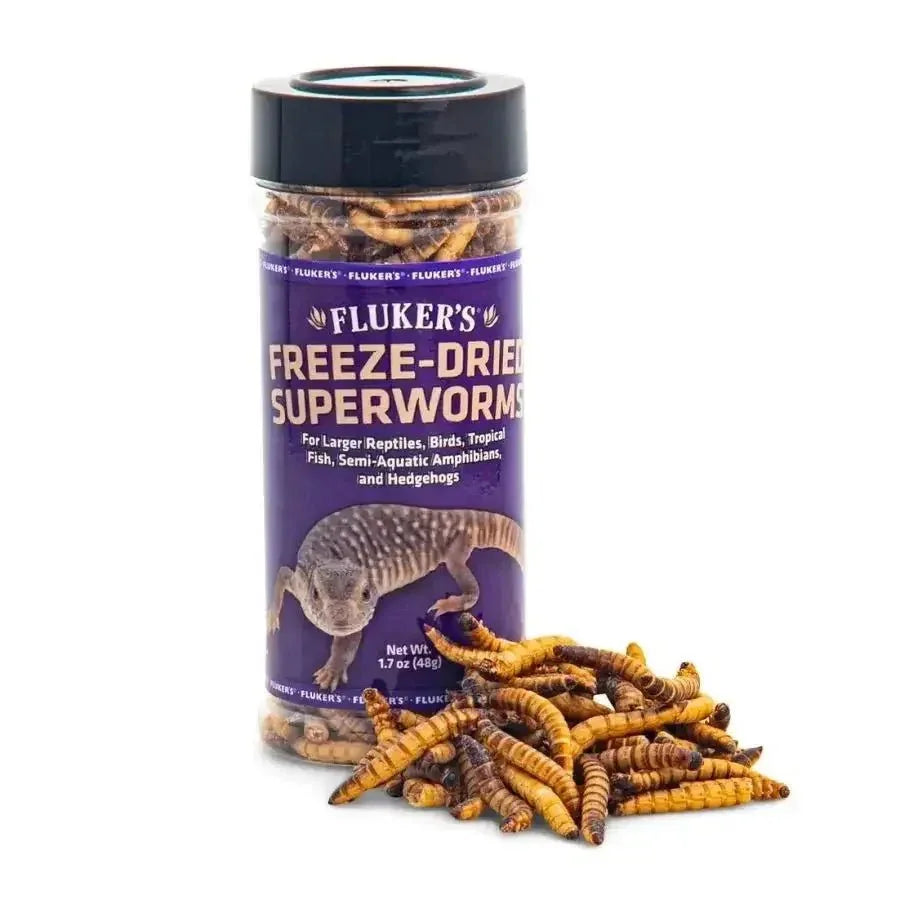 Fluker's Freeze - Dried Superworms Reptile Treats - Talis Us