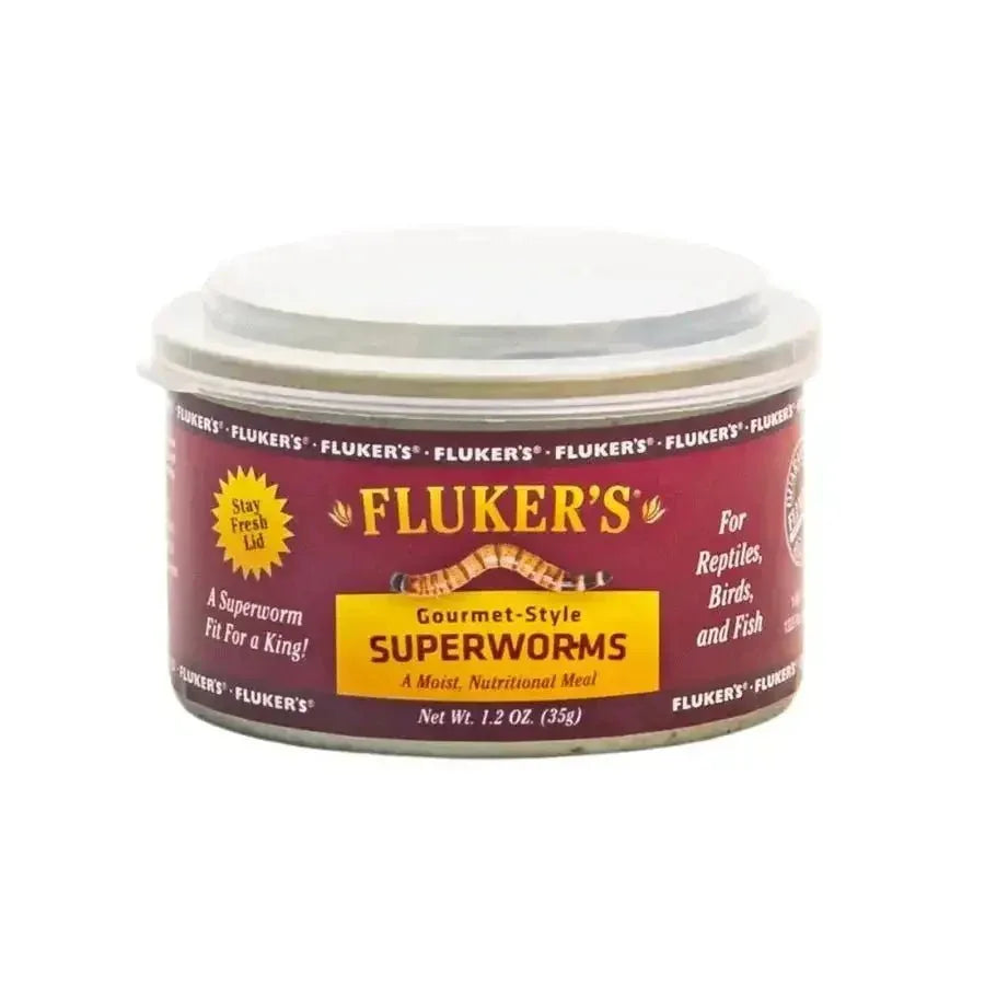 Fluker's Gourmet - Style Canned Superworms 1.2 oz - Talis Us