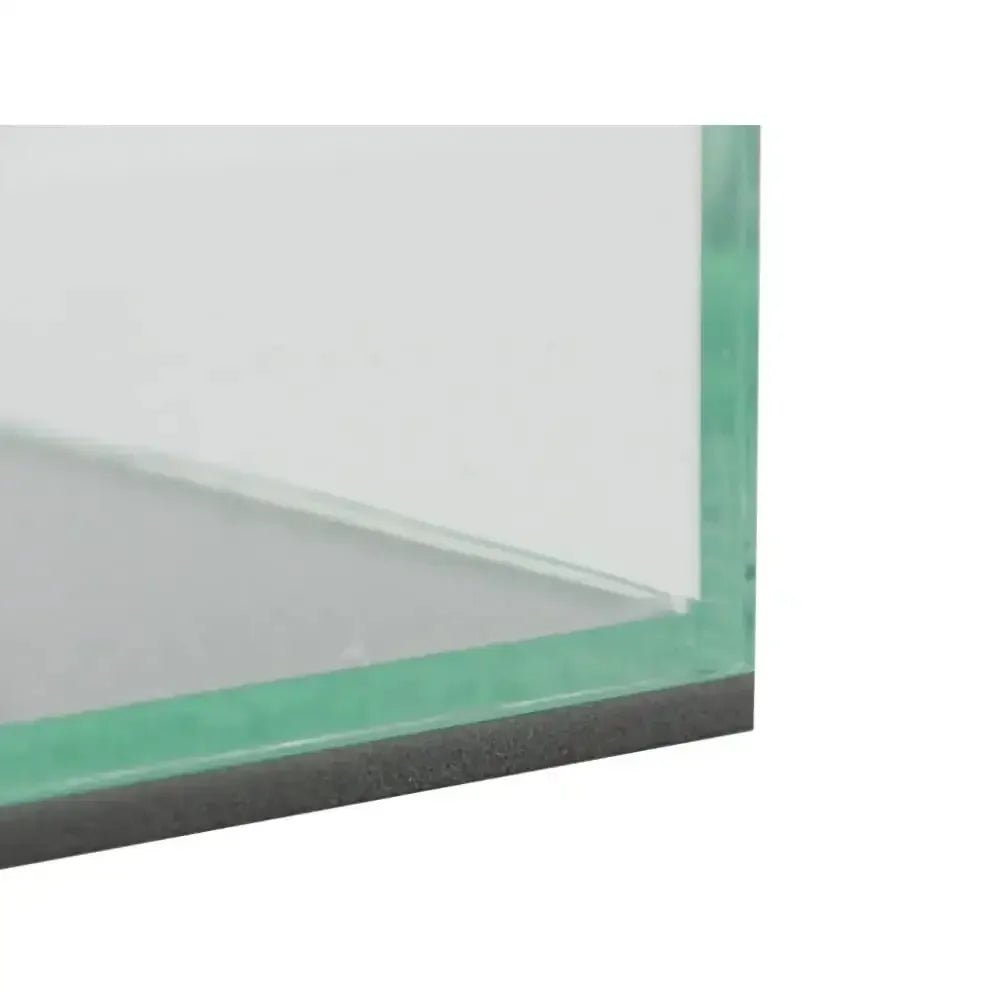 Formicarium pad - Talis Us