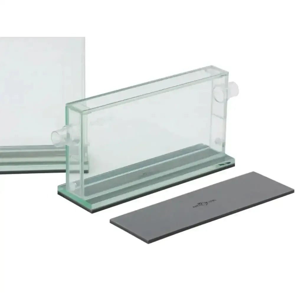 Formicarium pad - Talis Us